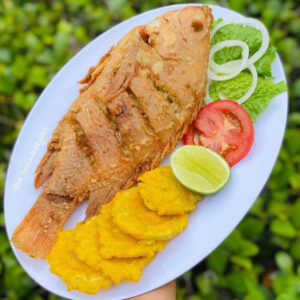 Pargo